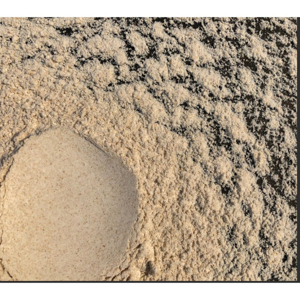 Whole Bread Wheat Flour