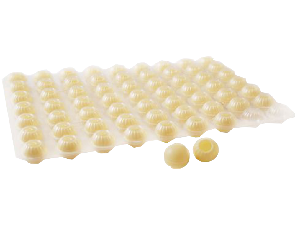 White Shells (504 pcs)